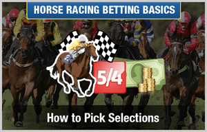 Advice on Picking Your Selections