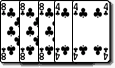 8 8 8 4 4