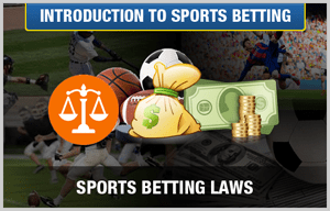 Sports Betting Law and Regulation: What You Need to Know