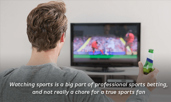 Watching sports on TV is both working and having fun.