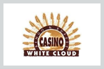 CasinoWhite Cloud Logo