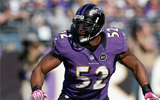 Ray Lewis Small Image