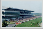 Chukyo Racecourse