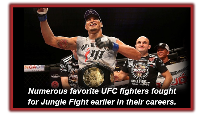 Jungle Fight