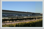 Nakayama Racecourse