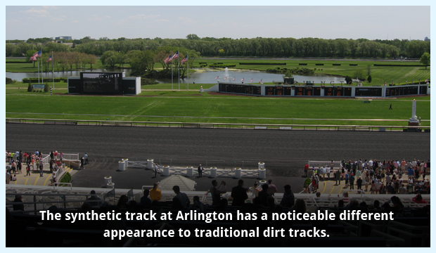 The Synthetic Track at Arlington International Racecourse