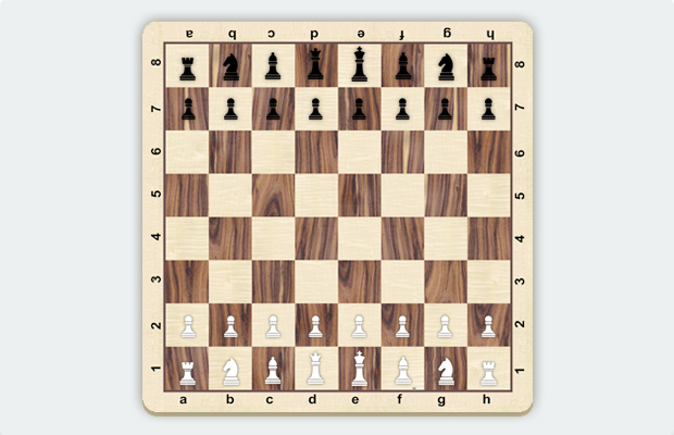 How the Pieces Are Setup on the Chess Board at the Start of a Game