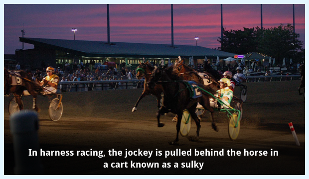 Harness racing at Meadowlands Racetrack
