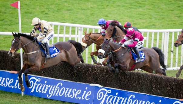 An Example of One of the Challenging Obstacles at Fairyhouse Racecourse