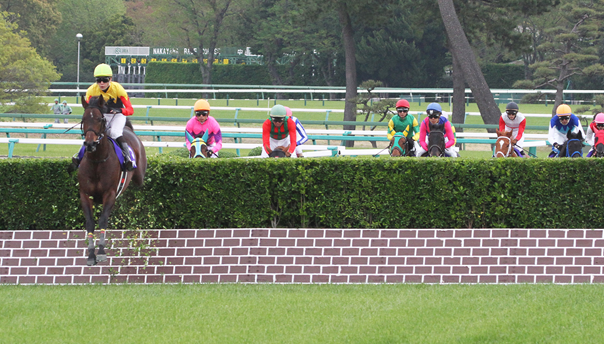 Even the “normal” jumps at Nakayama are not exactly easy obstacles.