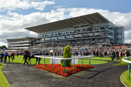 Overview of Doncaster Racecourse