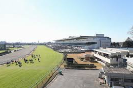 Overview of Nakayama Racecourse
