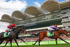 Overview of Newmarket Racecourse