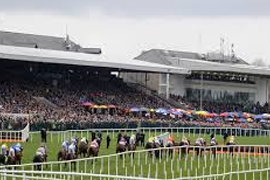 Overview of Punchestown Racecourse