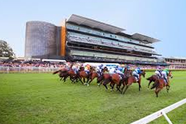 Overview of Randwick Racecourse