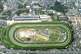 Overview of Tokyo Racecourse