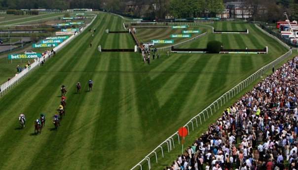 The Track at Sandown Park Racecourse.