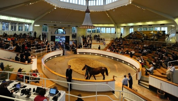 Many famous horses have been bought and sold at Tattersalls.
