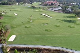 Overview of TPC Sawgrass
