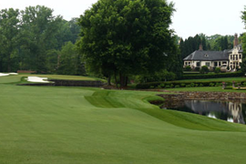 Overview of Quail Hollow Club