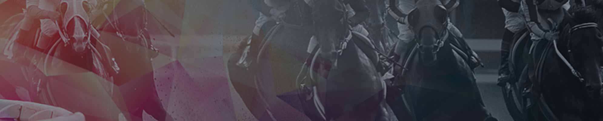 Triple Crown of Racing 2019