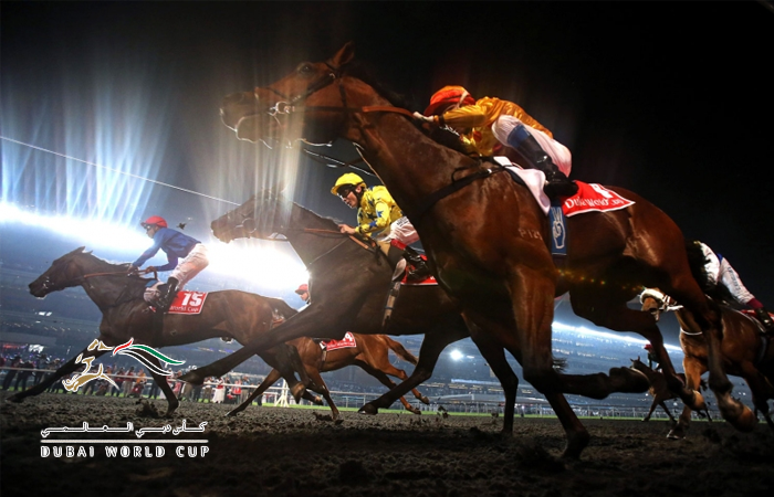 Dubai World Cup Horse Race