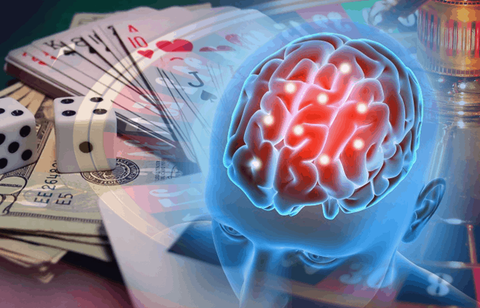 Gambling and Brain
