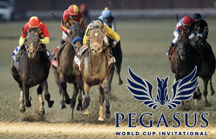 Racehorses in the Pegasus World Cup