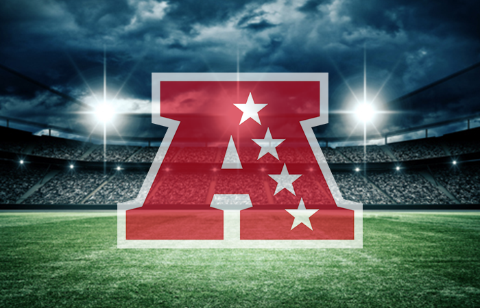 nfl afc north||||