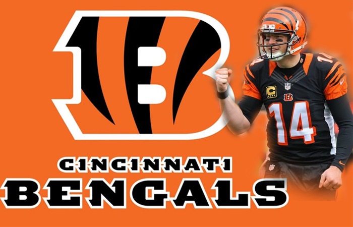 Cincinnati Bengals Review Feature|Cincinnati Bengals Banner