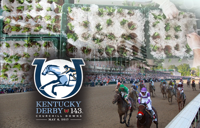 How Big is the Kentucky Derby Feature Image