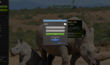 springbok-casino-screenshot-3.png