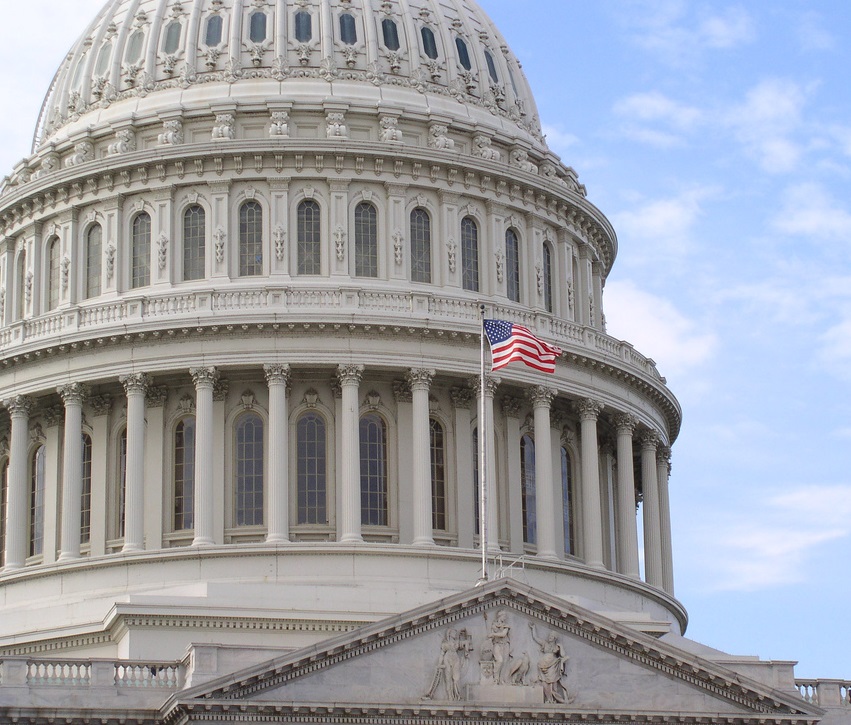 Capital Building US Flag