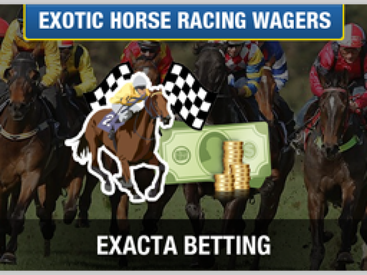 Horse betting terms exacta inn betfair lay betting tipsters