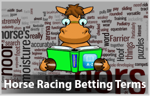 Horse racing betting jargon unexplained mysteries ferrer tsonga betting trends