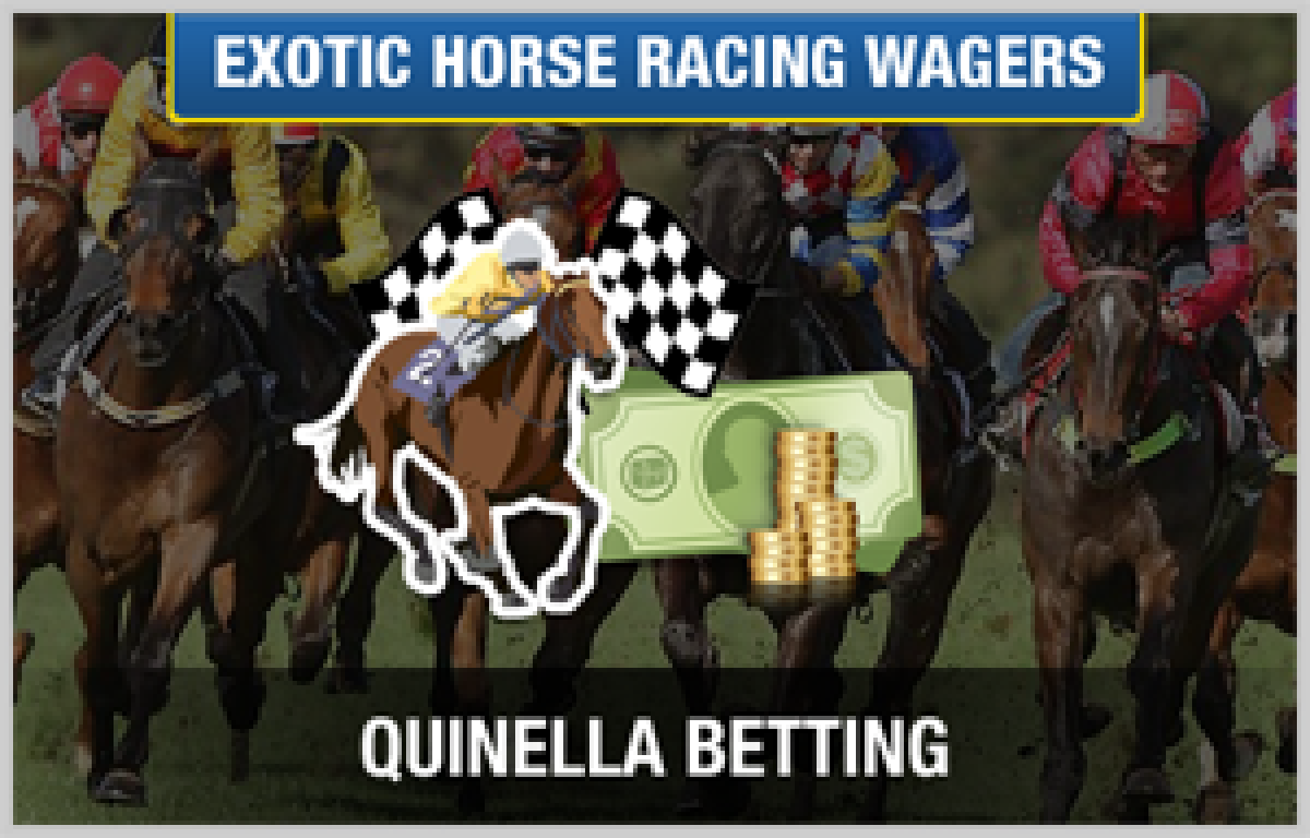 Quinella horse race betting markus weizmann forex