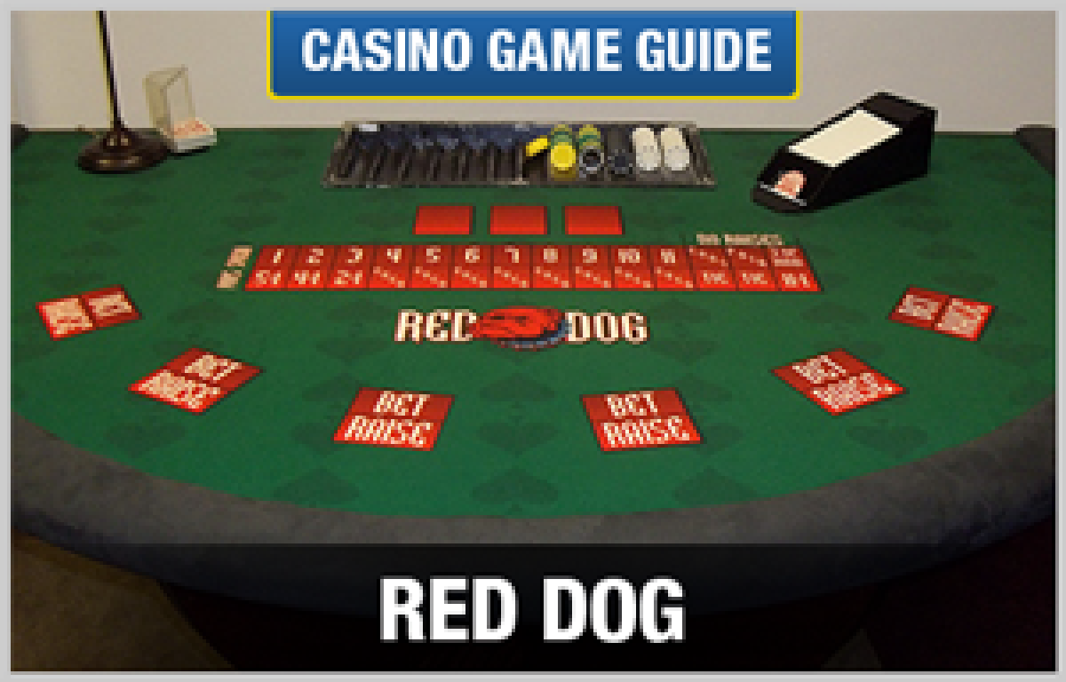 Red Dog Poker - How to Play, Rules, Strategy, and More