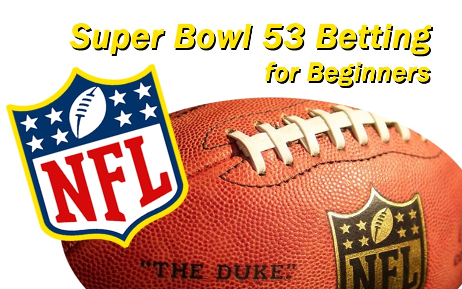 Super Bowl Betting Options for Beginners