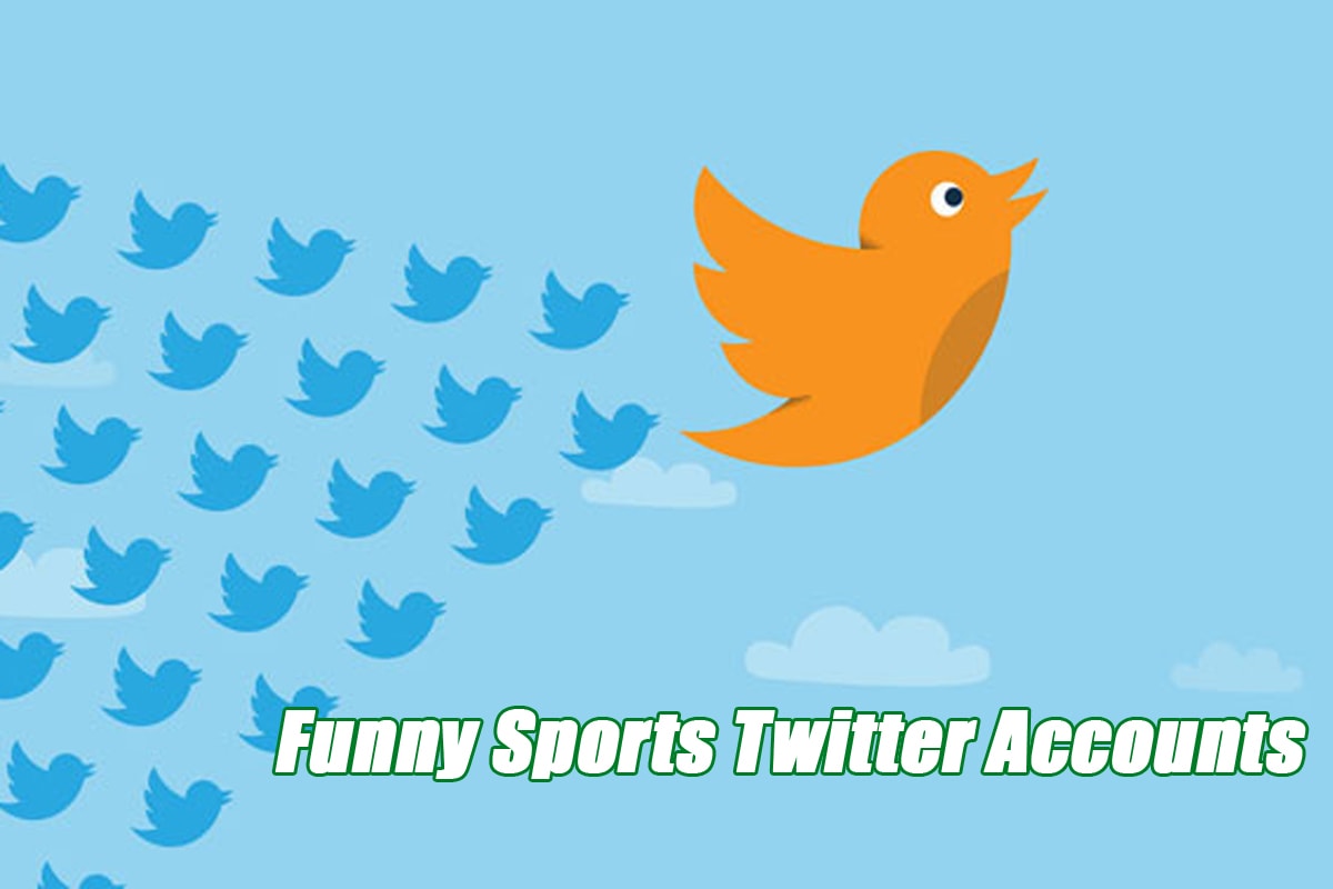 Funny Sports Twitter Accounts – 12 of the Funniest to Follow Funny Sports Twitter Accounts – 12 of the Funniest to Follow