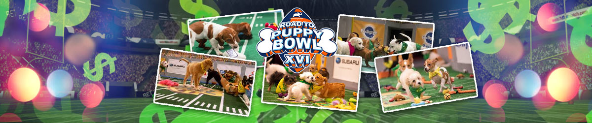 Puppy Bowl 2020 Betting