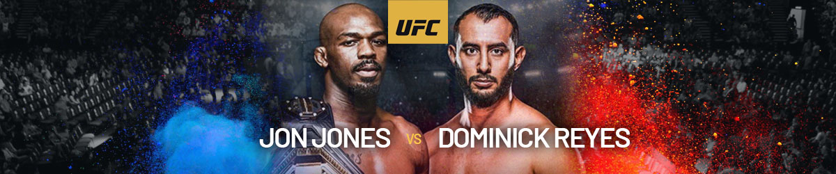Jon Jones and Dominick Reyes UFC 247