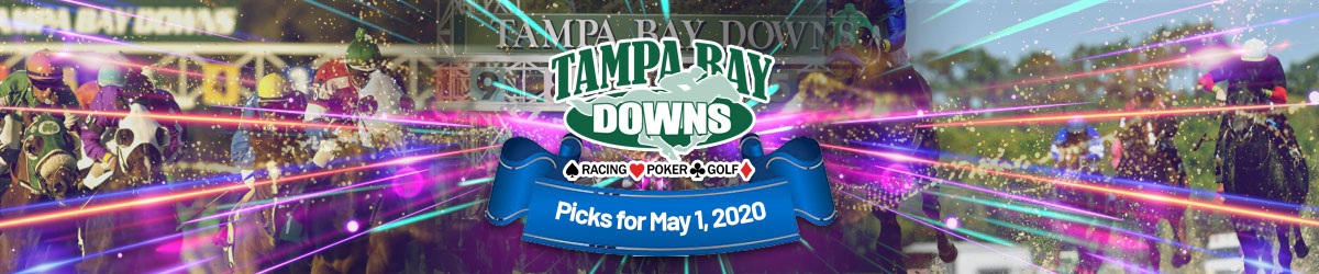 Tampa Bay Downs Picks 5/1