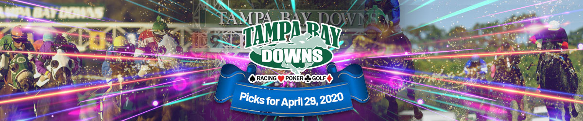 Tampa Bay Downs Picks 4/29