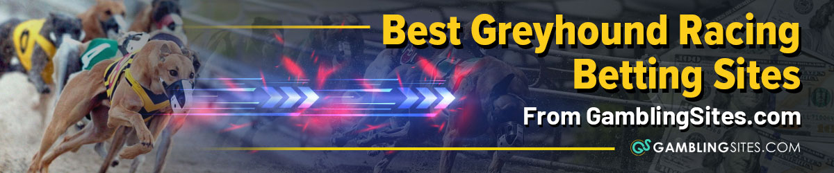 Greyhound Racing Betting Sites 