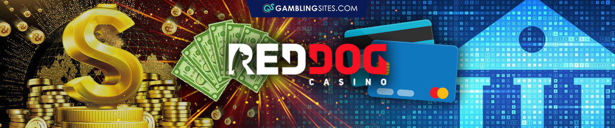 Banking Options on Red Dog Casino