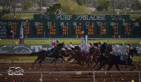 Turf Paradise is one of three racetracks in Arizona