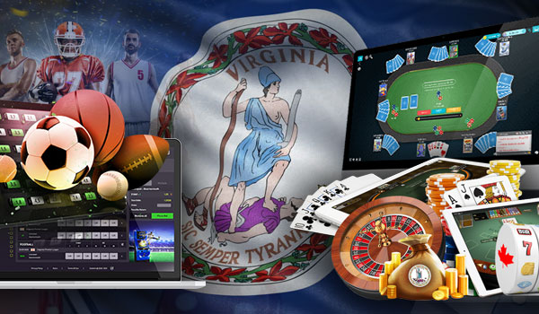 The top gambling sites typically offer a range of betting and gaming options