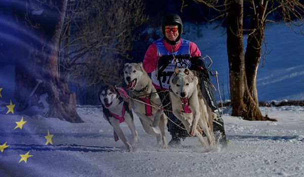 The Iditarod is an annual sled dog race in Alaska