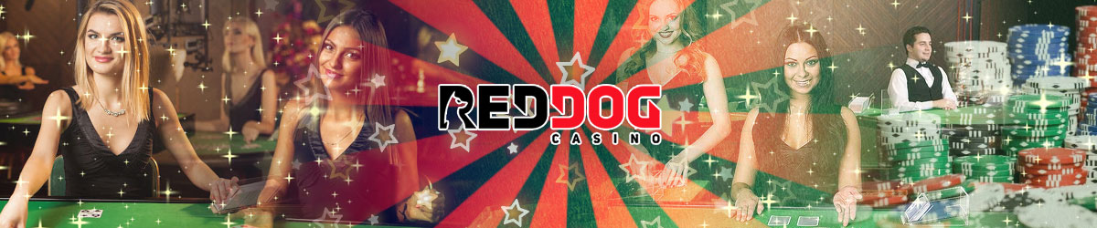 Red Dog Casino’s Live Dealer Games