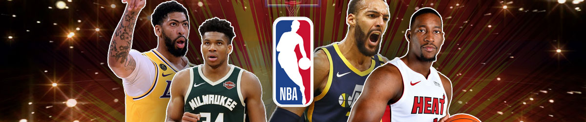 Likely Winners of NBA Defensive Player of the Year for 2020-21